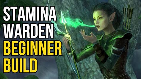 Stamina Warden Beginner Build For The Elder Scrolls Online Hack The