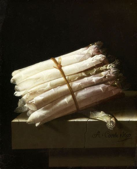 Adriaen Coorte Still Life Of Asparagus 1697 Oil On Paper Mounted On