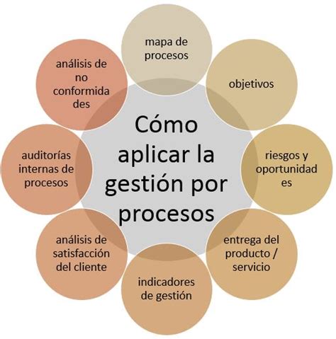 Esquema Para Aplicar La Gestion Por Procesos Servicios Profesionales