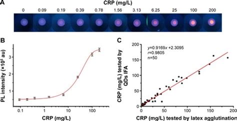 Full Article Rapid And Quantitative Detection Of C Reactive Protein