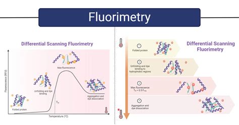 Fluorimetry: Principle, Instrumentation, Factors, Uses