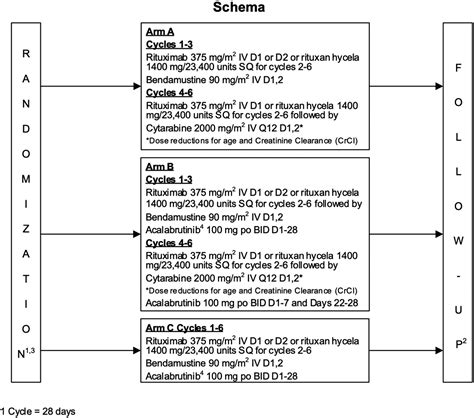 Bendamustine Rituximab Plus Cytarabine Rituximab With Or Without