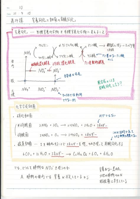 理科 の 勉強 168305-小学生 理科 勉強 の 仕方 - Nyosspixxgly