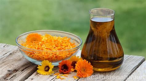 Calendula Salbe Selbst Gemachte Heilsalbe Aus Ringelblumen Consurge