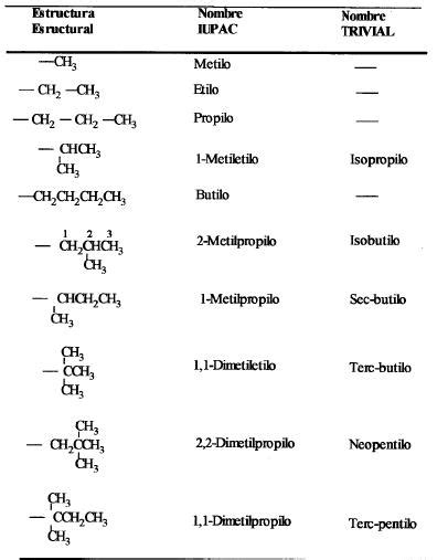 Ciencias Naturales Quimica Fisica Biologia Los Radicales O