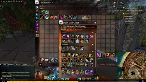 Guild Wars 2 Adds Preview Feature To Loot Containers Including Black