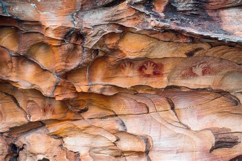 Aboriginal Heritage Walk Ku Ring Gai Chase National Park Blog Nsw