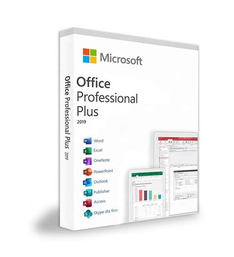 Microsoft Office Professional Plus 2019 Erlipl