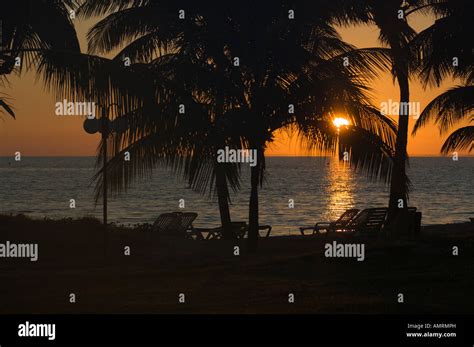 cayo guillermo scuba  res stock photography  images alamy