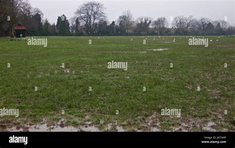 muddy playing field stock photo alamy