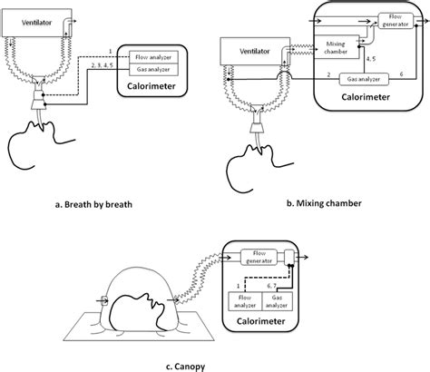 Indirect Calorimetry