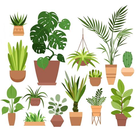 Celebrate Houseplant Appreciation Day With Houseplant Care Tips