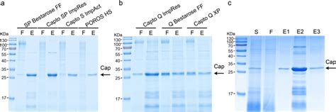 Purification Of The PCV2 VLPs By Ion Exchange Chromatography Four