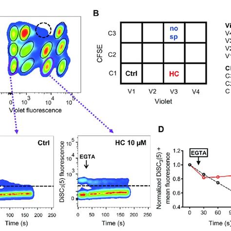 A Representative 2d Dot Plot Of Celltrace™ Violet Vs Celltrace™ Cfse Download Scientific