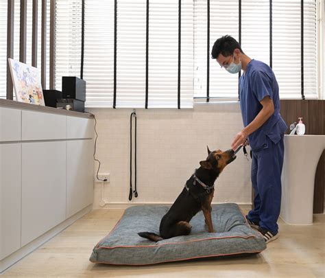 animal rehabilitation job 7