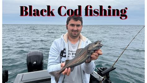 Black Cod Fish