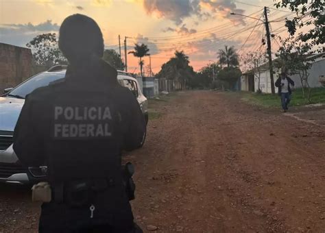 Pf Mira Fraudes Em Certificados De Armas De Fogo Capital Campo