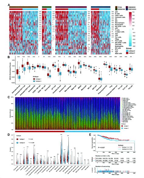 Identification Of Tme Subtypes A Clustering Heatmap Of Immune Cell Download Scientific