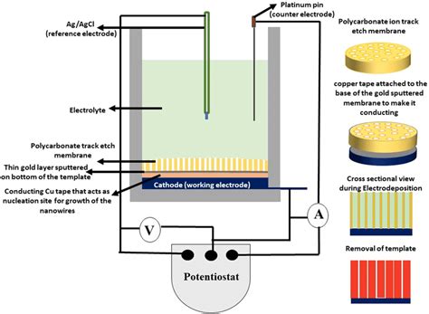 Schematic Representation Of Three Electrode Electrochemical Cell Used