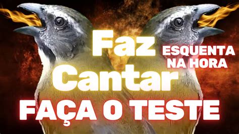 FAZ CANTAR ESQUENTAR TRINCA FERRO NA HORA ESTIMULANTE NATURAL YouTube