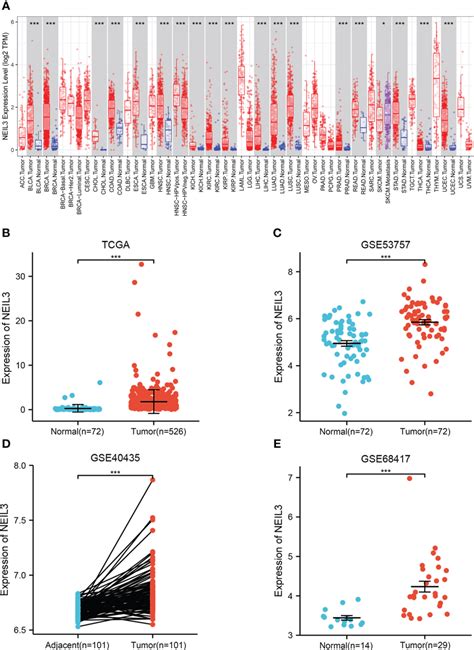 The Expression Level Of Neil3 Is Upregulated In Kirc A Differential Download Scientific