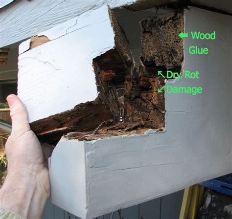 exterior beam repair dry rot damage
