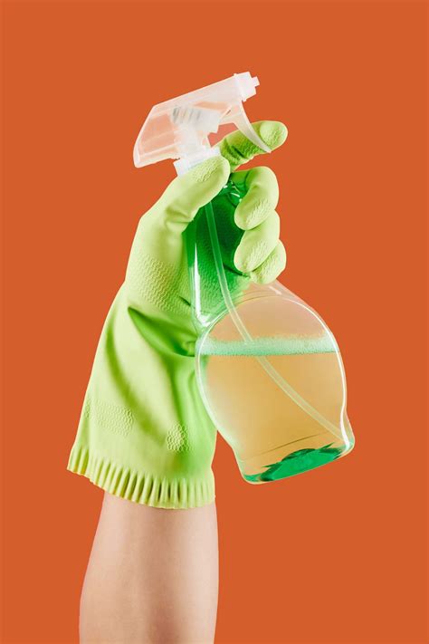 How To Get Rid Of Ants - OMNIS Pest Control