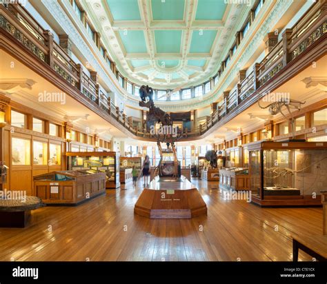 Redpath Museum, McGill University, Montreal Stock Photo - Alamy