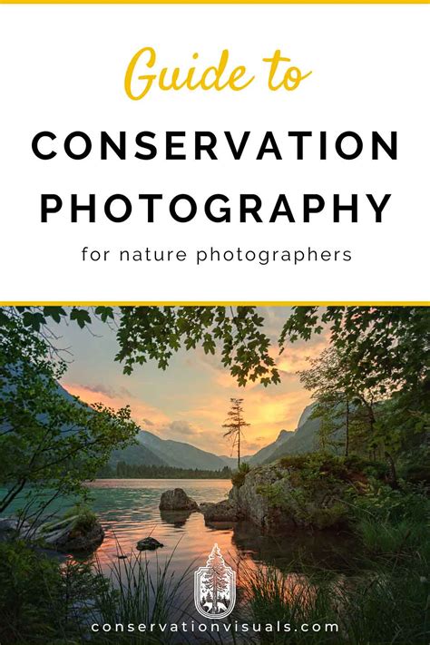 Guide To Conservation Photography