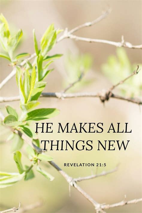 The Words He Makes All Things New On A Branch