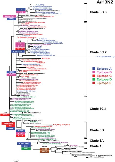 Phylogenetic Analysis Of Ha Nucleotide Sequences Of Influenza