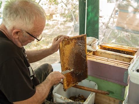 Premium Photo | Beekeeper cuts off the wax from honeycomb frame production of fresh honey and ...