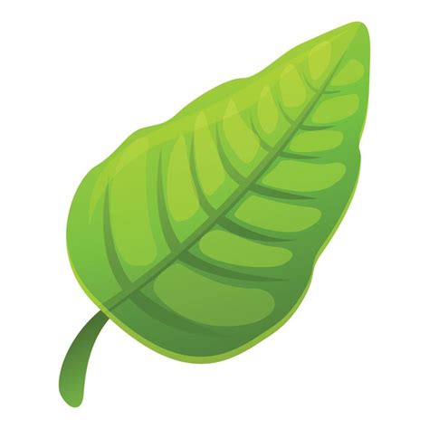 Tropical Green Leaf Icon Cartoon Style 14334510 Vector Art At Vecteezy