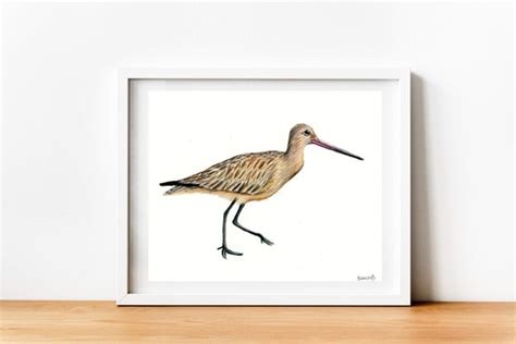 colored pencil bird artwork original art hand drawn etsy