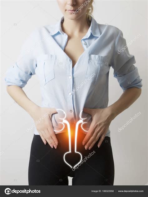 Woman body with visualisation of kidneys and bladder — Stock Photo