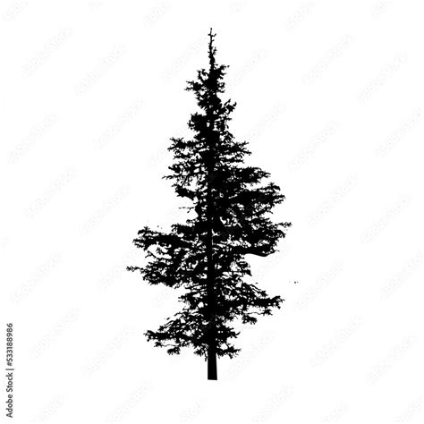 Silhouette Of Spruce Tree Vector Illustration Stock Vector Adobe Stock