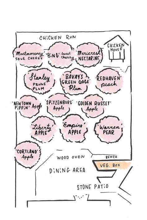 Layout Fruit Tree Orchard Design