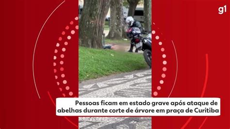 Duas pessoas correm risco de morte após ataque de abelhas durante corte