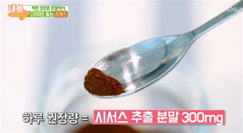 시서스 식욕 조절지방 분해에 효과적가루·알약 형태로 섭취