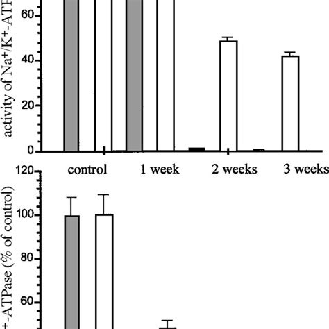 Inhibition By Cd 2 Of Na K ATPase And Mg 2 ATPase Activity In NSPM