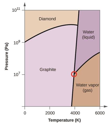 Exploring The Phases Of A Pure Substance Visualizing Its Phase Diagram