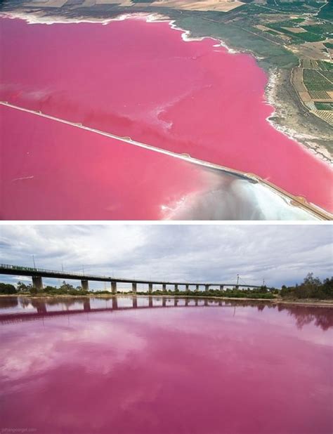 pink lakes   world pink lake lake retba cool places  visit