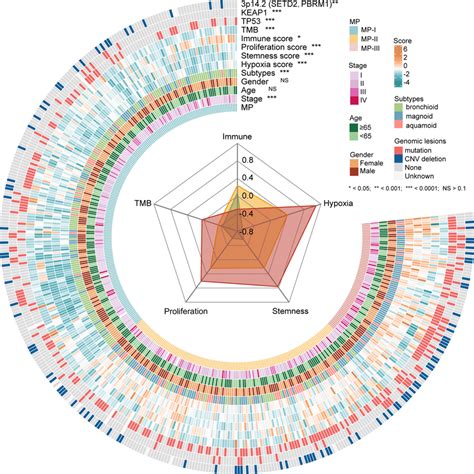 Clinical And Molecular Characteristics Of The Mps In The Tcga