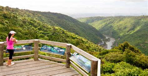 Photo Of The Week Manawatu Gorge Conservation Blog