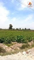 Terreno En Venta En Independencia Pisco Hectareas U D