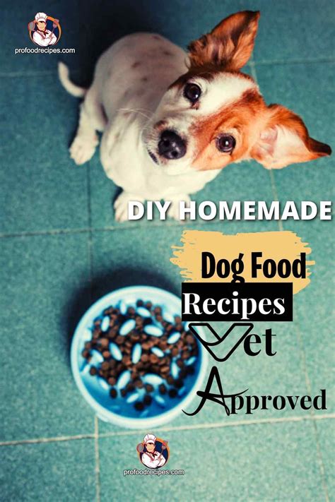 DIY Homemade Dog Food Recipes Vet Approved