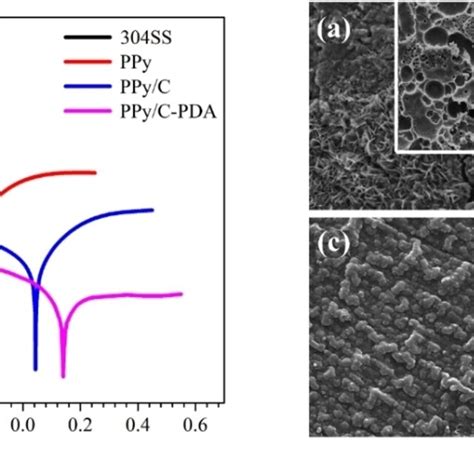 Left Pdp Curves And Right Corresponding Sem Micrographs Of