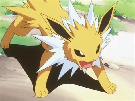 Satsukis Jolteon Pokémon Wiki Fandom Powered By Wikia