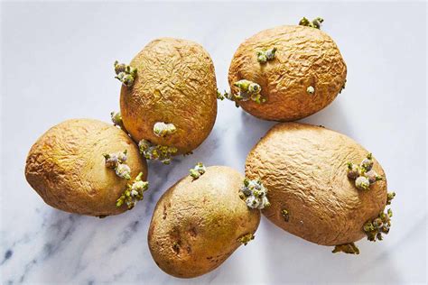 Can You Eat Sprouted Potatoes An Expert Explains