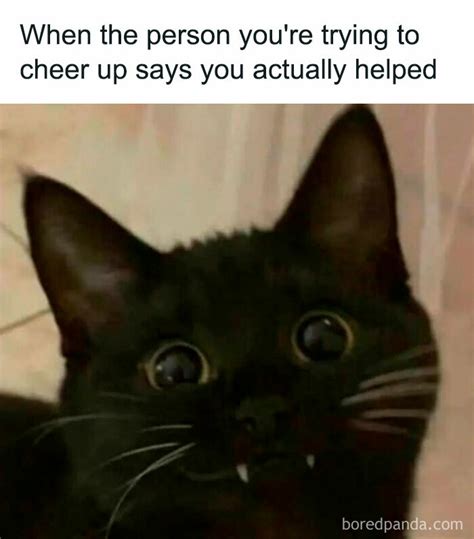 Funny Cat Meme Cheer Up